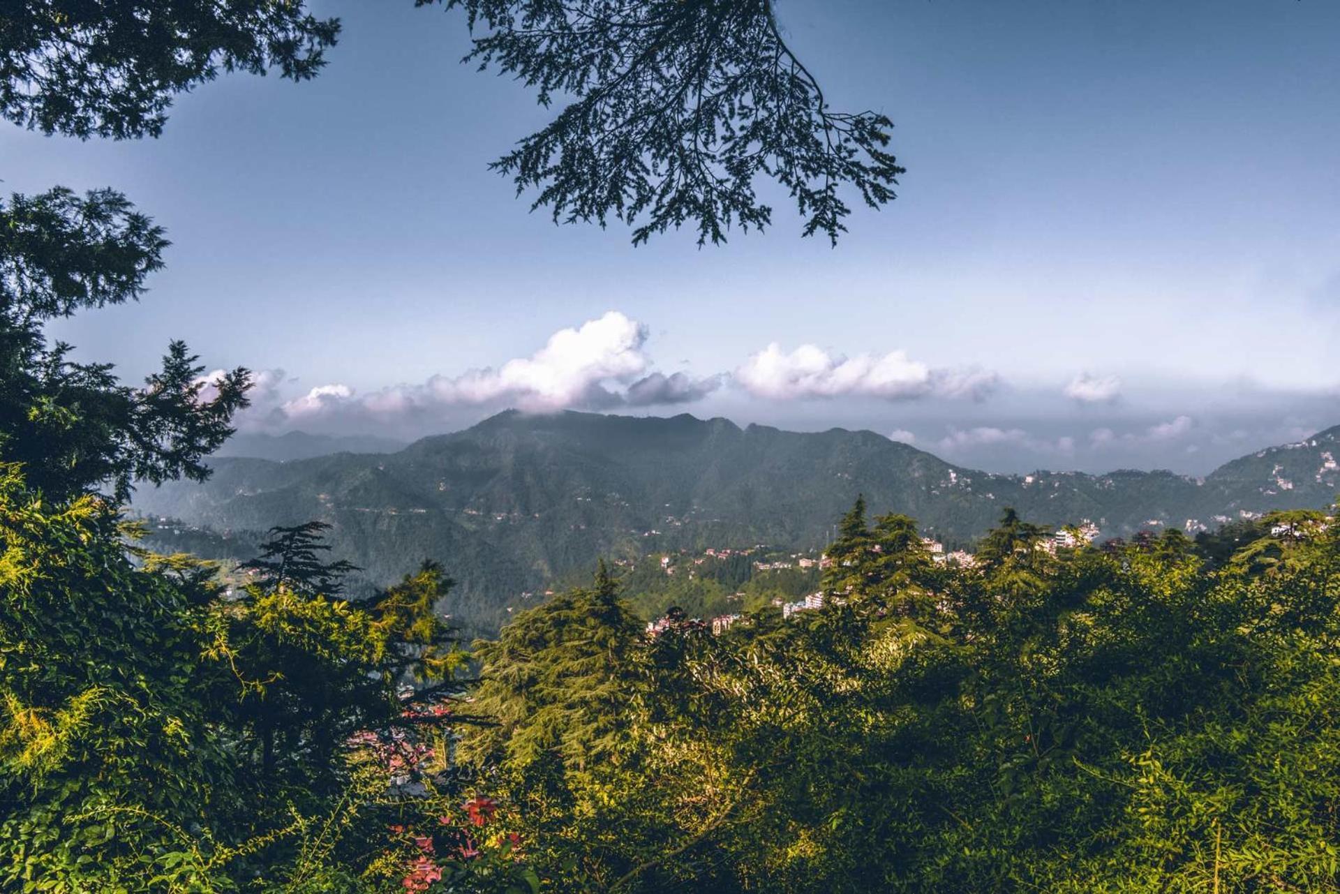 Stayvista At Rose Cottage - Bonfire & Scenic View Shimla Exterior foto